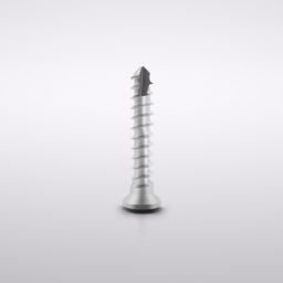 Titanium Micro Screws, Ø 1.5, Original grey (5 units) 