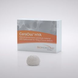 CeraOss™ HYA, Particle size 0.5 - 1.0 mm 