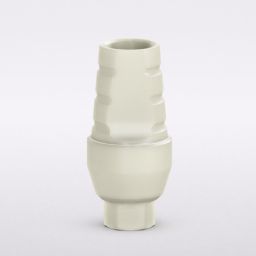 Internal Plastic Temporary Abutment 