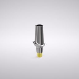 Conical Straight Esthetic Abutment 