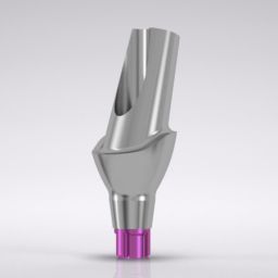 CONELOG® Esthomic® Abutments 15° angled, type A 