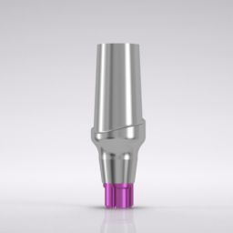 CONELOG® Esthomic® Abutment, inset 