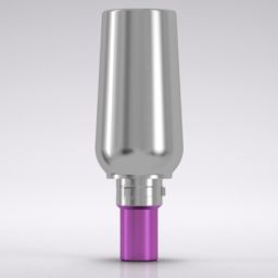 CAMLOG® Universal abutment 