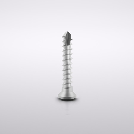 Titanium Micro Screws, Ø 1.5, Original grey (5 units) 