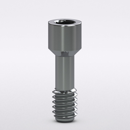 Internal Abutment Screw 