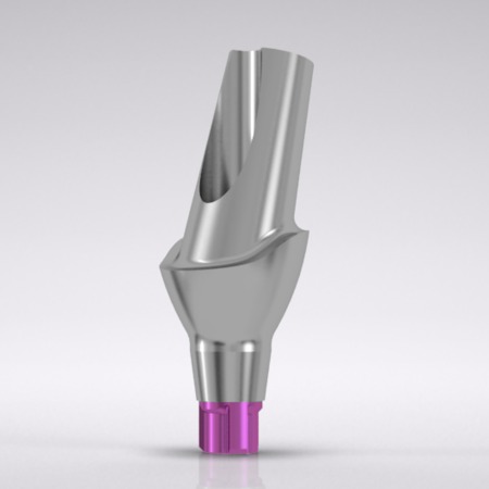 CONELOG® Esthomic® Abutments 15° angled, type B 