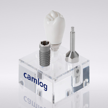 CONELOG® Macro model SCREW-LINE implant (scale 3:1) 