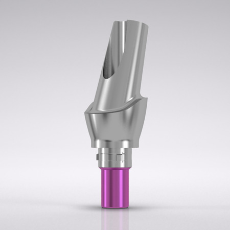 CAMLOG® Esthomic® Abutment, 15° angled, type B 