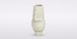 Internal Plastic Temporary Abutment 