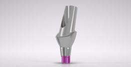 CONELOG® Esthomic® Abutments 15° angled, type A 