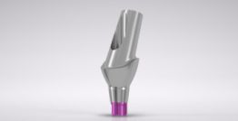 CONELOG® Esthomic® Abutments 20° angled, type A 