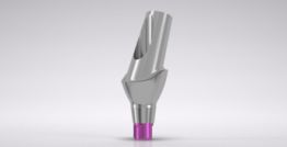 CONELOG® Esthomic® Abutments 20° angled, type B 