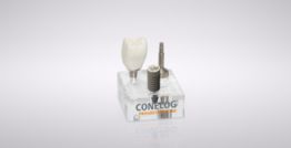 CONELOG® Macro model PROGRESSIVE-LINE implant (scale 3:1) 