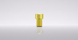 Vario SR prosthetic screw, hex, M 2.0, for Ø 3.8 / 4.3 / 5.0 