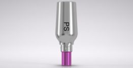 CAMLOG® Universal abutment PS 