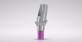 CAMLOG® Esthomic® Abutment PS, angled 15°, type A 