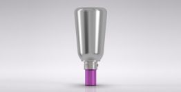 CAMLOG® Telescope abutment 