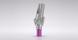 CAMLOG® Esthomic® Abutment, 15° angled, type B 