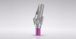 CAMLOG® Esthomic® Abutment, 20° angled, type A 