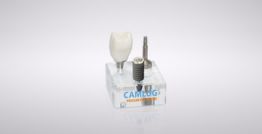 CAMLOG® Macro model PROGRESSIVE-LINE implant (scale 3:1) 